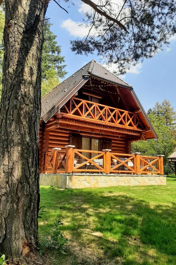 Zlatiborske Brvnare Villa Exterior photo